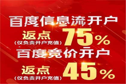 百度竞价代理的投放策略及某行业成功案例